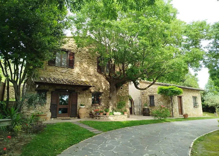 All\'Ombra Di San Damiano