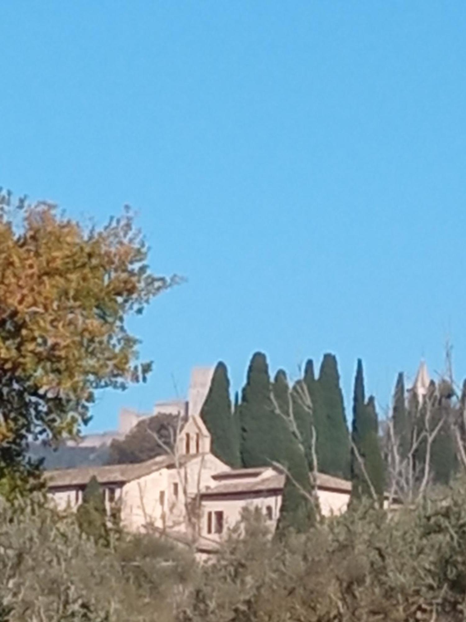 All'ombra Di San Damiano Asís
